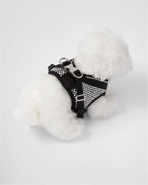 harness bag prada|high end rounded dog collar.